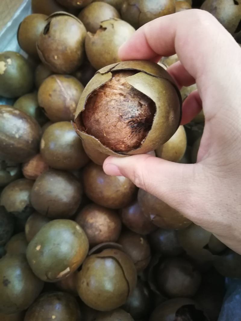 罗汉果破果烂果可冲茶可煲汤调味料
