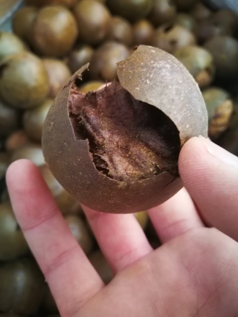 罗汉果破果烂果可冲茶可煲汤调味料