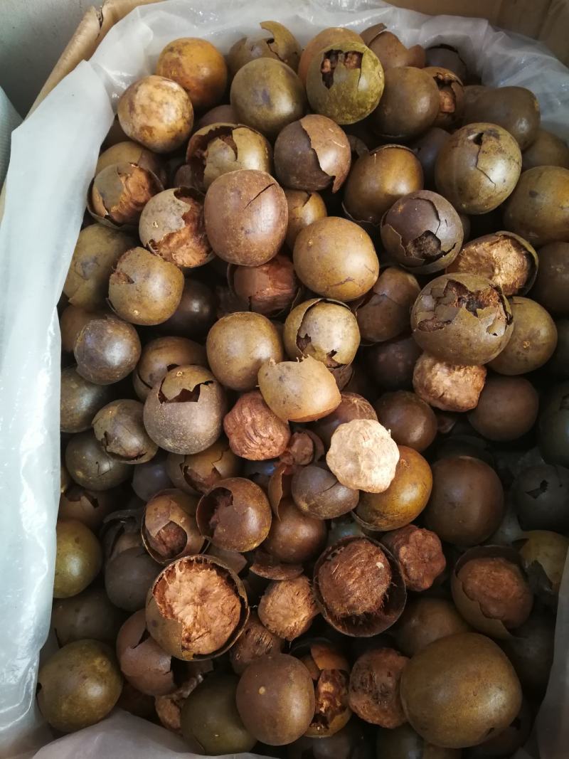 罗汉果破果烂果可冲茶可煲汤调味料