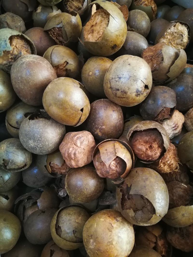 罗汉果破果烂果可冲茶可煲汤调味料