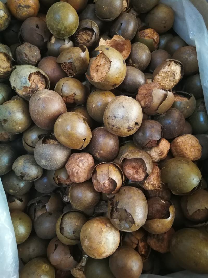 罗汉果破果烂果可冲茶可煲汤调味料