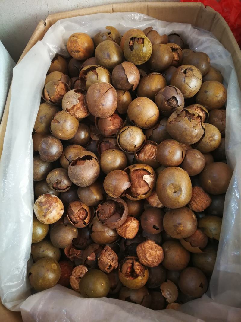 罗汉果破果烂果可冲茶可煲汤调味料