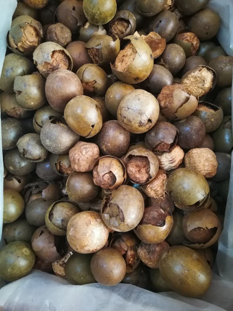 罗汉果破果烂果可冲茶可煲汤调味料