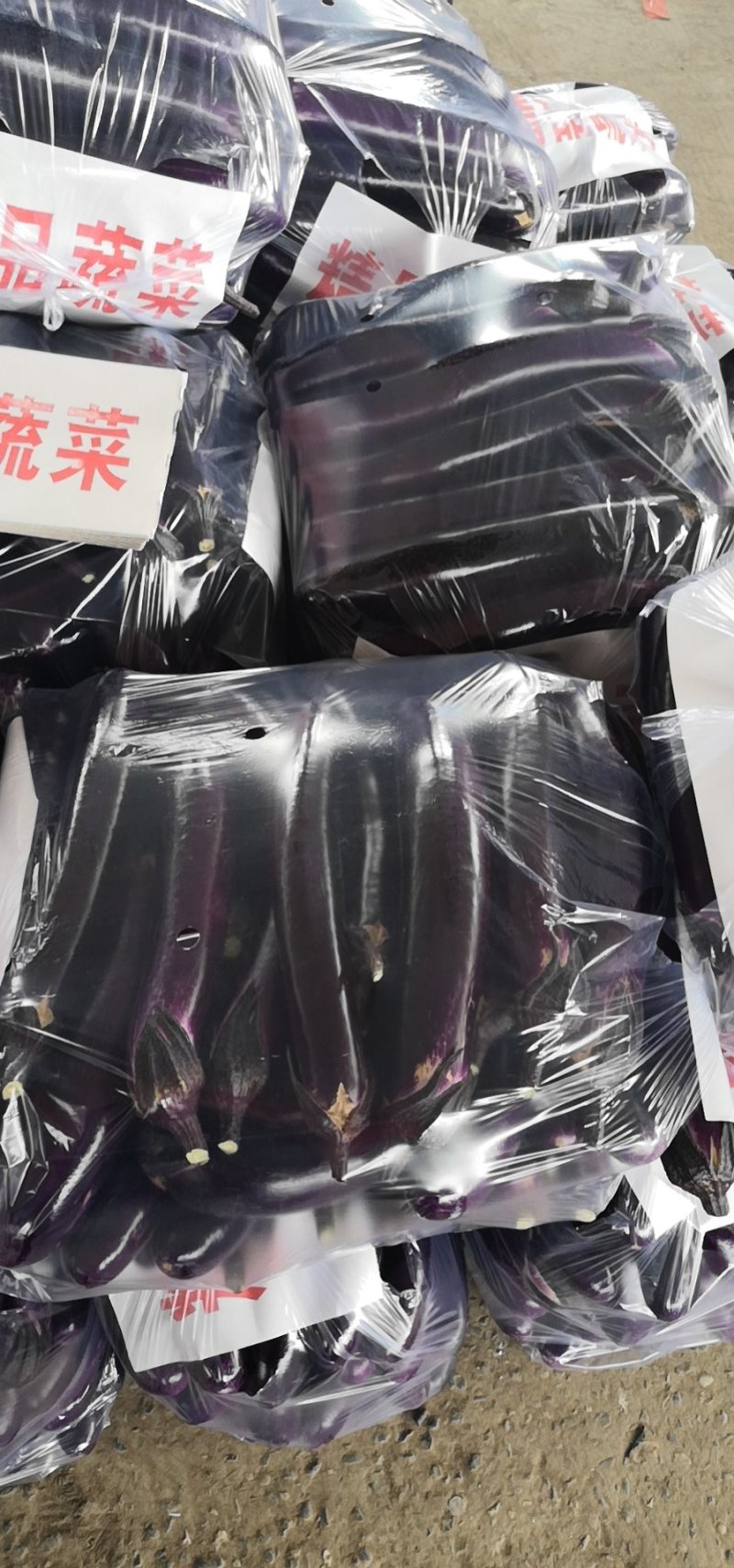 红金刚长茄，质量好，面积大，可视频看货，全国发货
