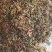 自然晒干无硫野生家种金银花