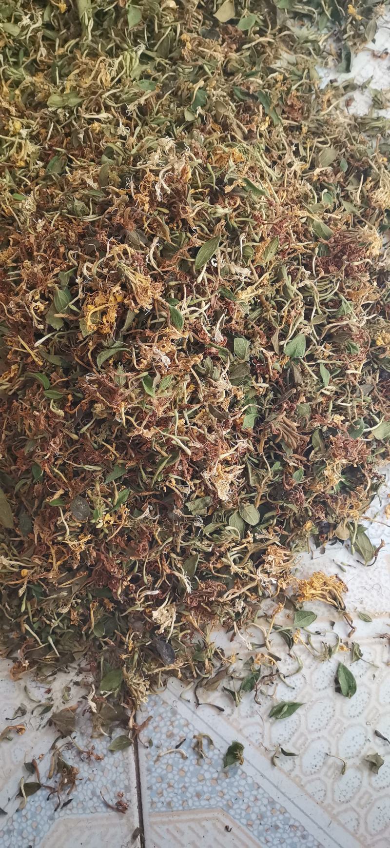 自然晒干无硫野生家种金银花