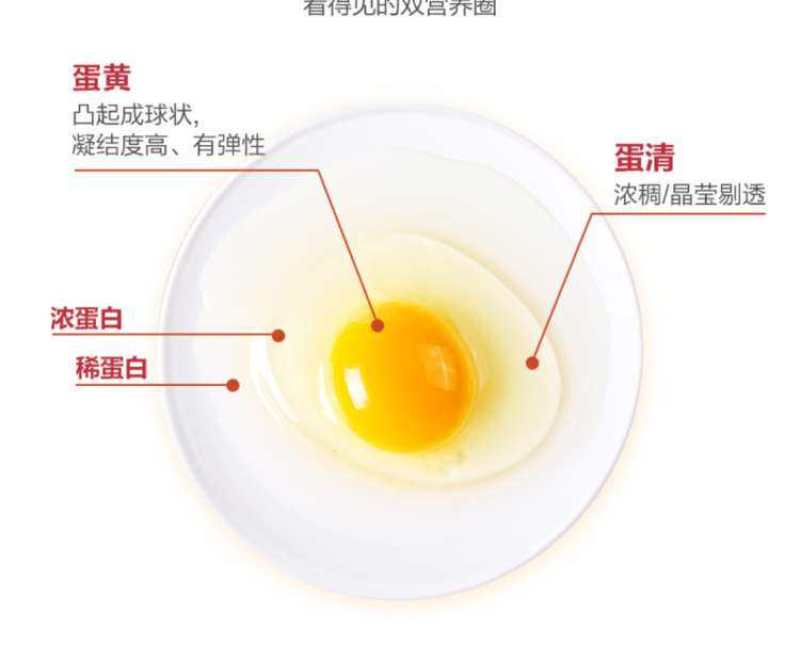 厂家直销正大鸡蛋