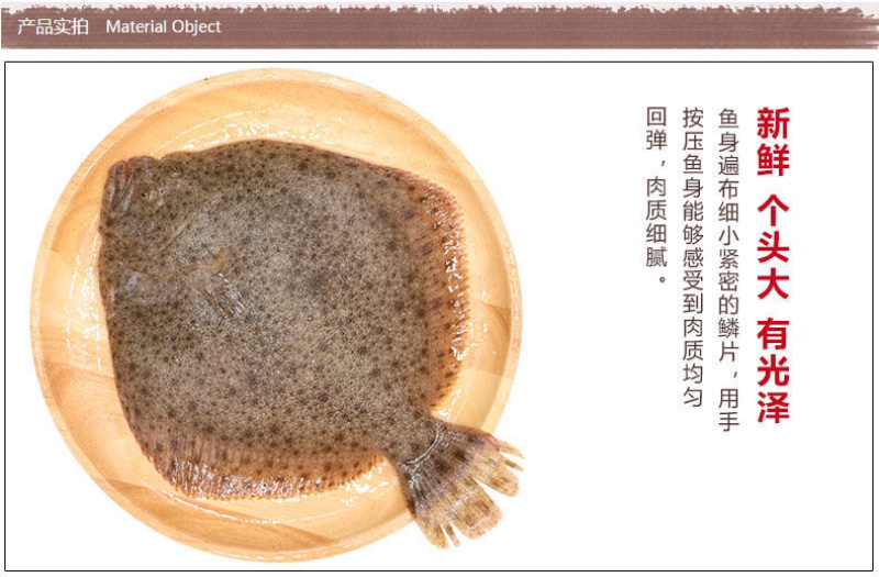 活冻海鲜水产新鲜多宝鱼比目鱼冷冻多宝鱼🐟🐟🐟🐟