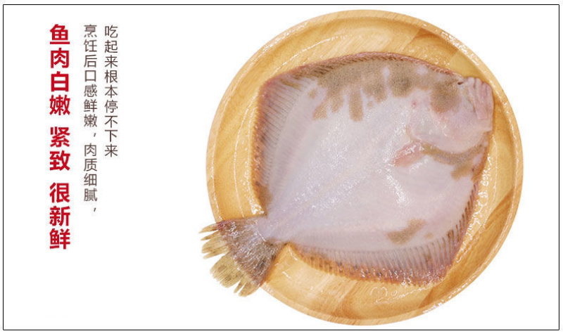 活冻海鲜水产新鲜多宝鱼比目鱼冷冻多宝鱼🐟🐟🐟🐟