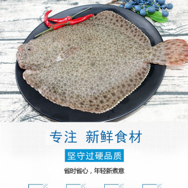 活冻海鲜水产新鲜多宝鱼比目鱼冷冻多宝鱼🐟🐟🐟🐟