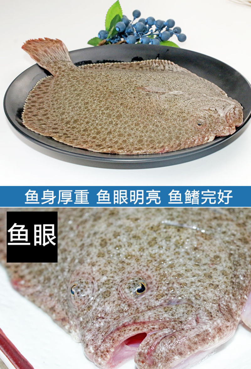 活冻海鲜水产新鲜多宝鱼比目鱼冷冻多宝鱼🐟🐟🐟🐟