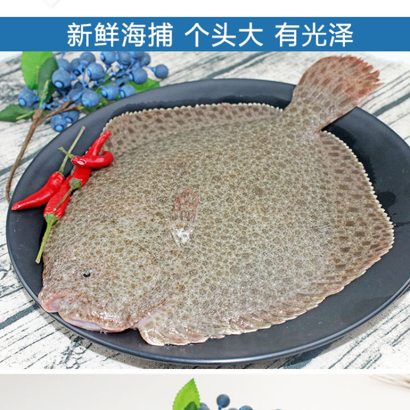 活冻海鲜水产新鲜多宝鱼比目鱼冷冻多宝鱼🐟🐟🐟🐟