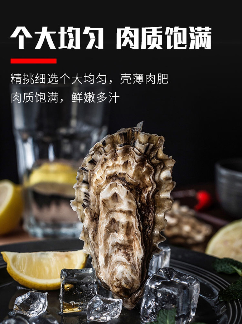 生蚝^_^^_^^_^^_^