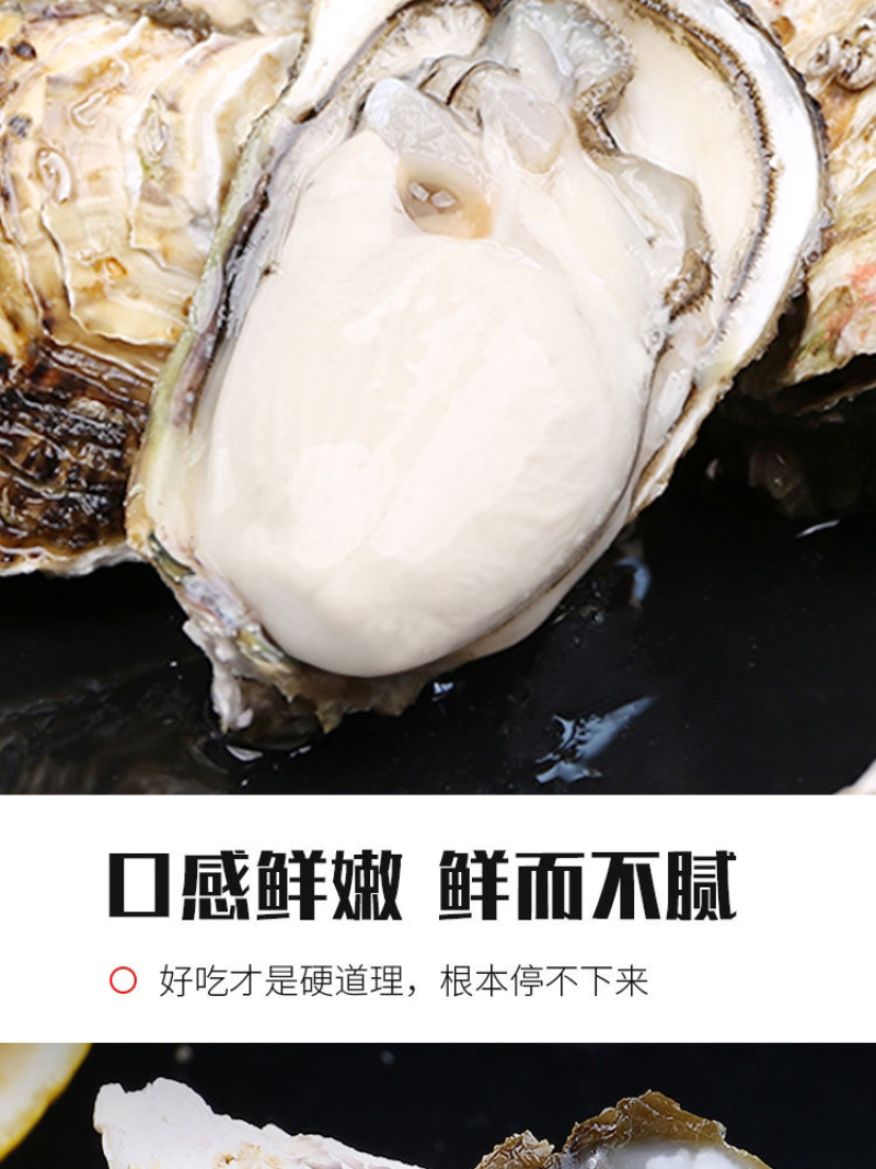 生蚝^_^^_^^_^^_^