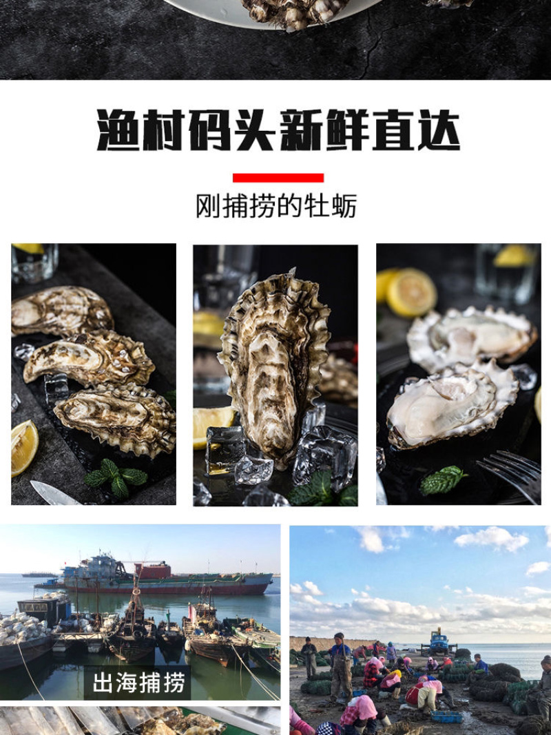 生蚝^_^^_^^_^^_^