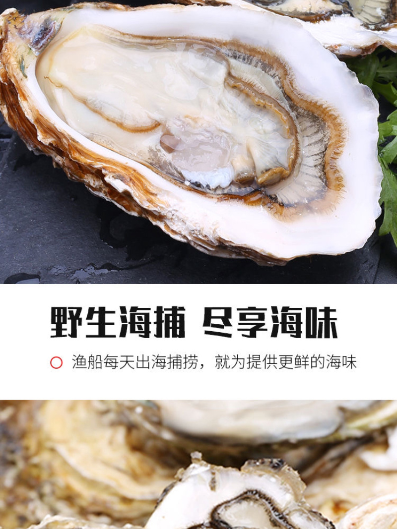 生蚝^_^^_^^_^^_^