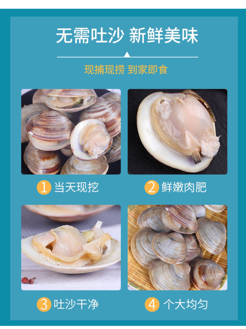 美贝蛤蜊花甲珍珠贝白贝蛤蜊海鲜批发，^_^