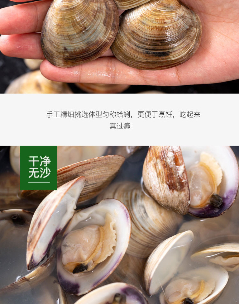 美贝蛤蜊花甲珍珠贝白贝蛤蜊海鲜批发，^_^