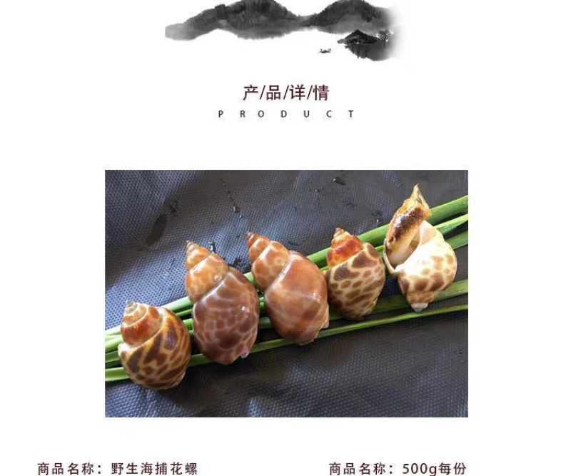 花螺鲜活海螺丁螺海鲜批发^_^^_^^_^^_^