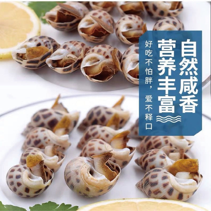 花螺鲜活海螺丁螺海鲜批发^_^^_^^_^^_^