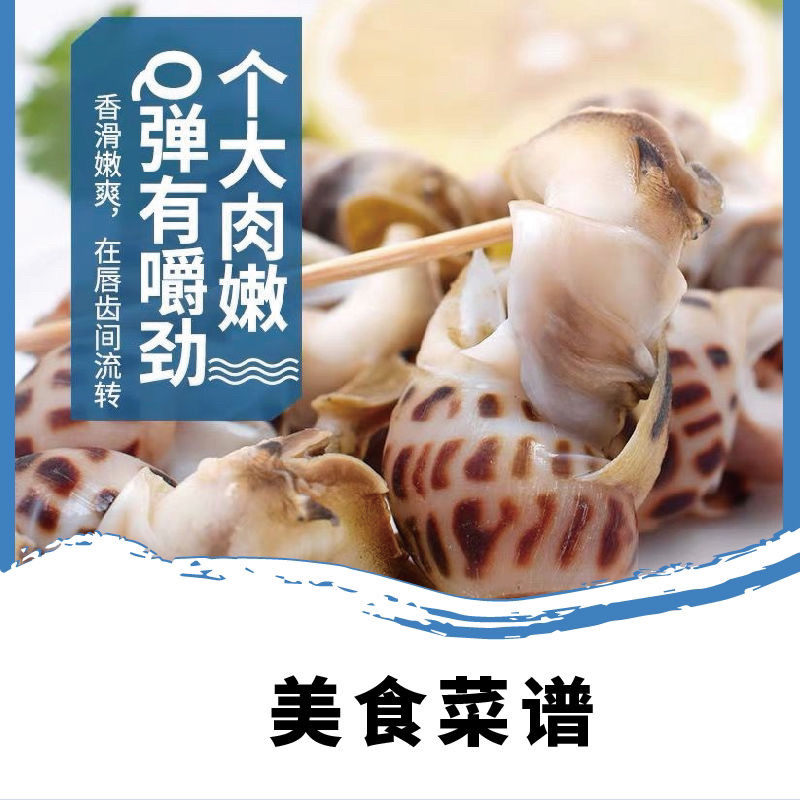 花螺鲜活海螺丁螺海鲜批发^_^^_^^_^^_^