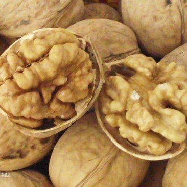 山西核桃25年新货仁子白果肉饱满口感好量大优惠
