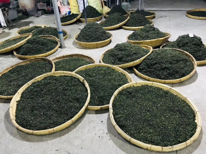 日照绿茶，口感香醇浓厚，回甘持久生津！
