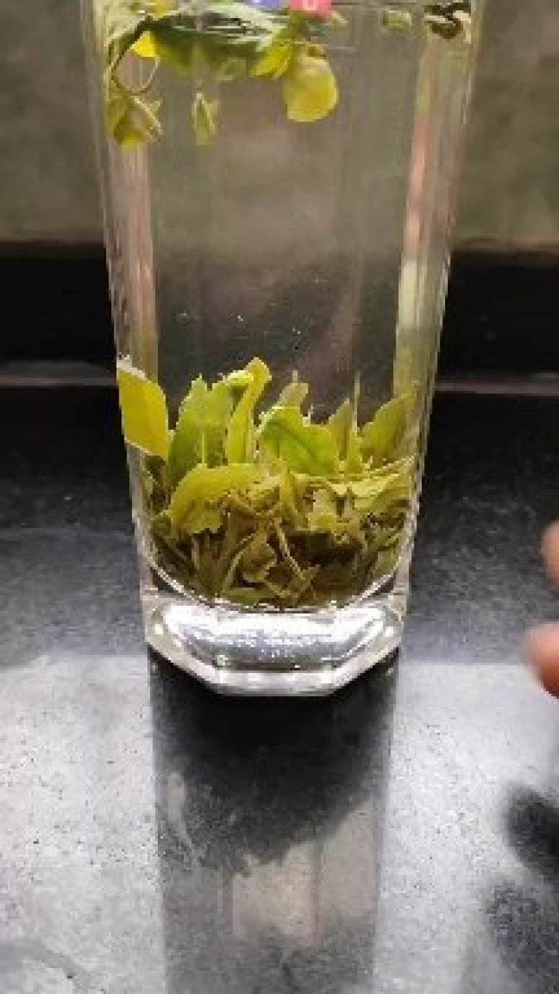 日照绿茶，口感香醇浓厚，回甘持久生津！