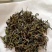 日照绿茶，口感香醇浓厚，回甘持久生津！