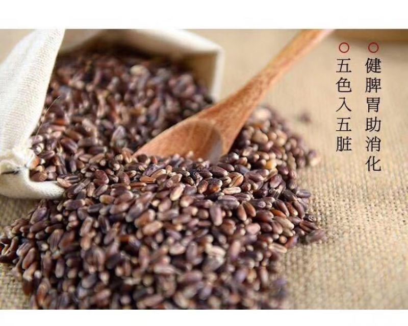 好物严选包邮新疆和静富硒黑小麦面粉多种规格选购
