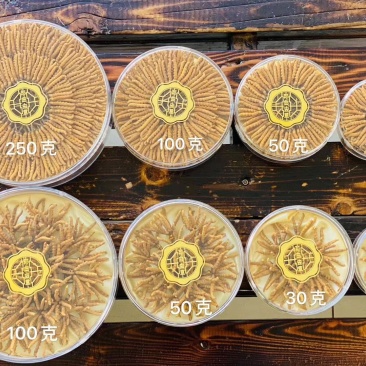 【精品】正宗西藏那曲纯野生冬虫夏草假一赔十顺丰包邮