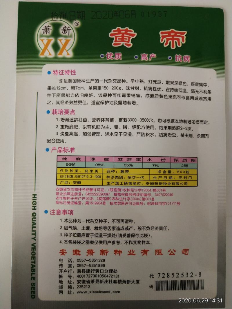 甜椒种子杂交品种中早熟成熟后黄色帝王甜椒高产种子