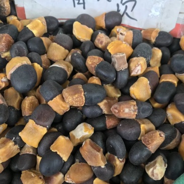 缅茄菩提子马牙果原籽未打孔没抛光打磨500g阴阳