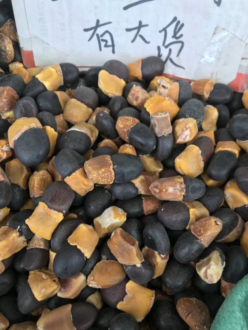 缅茄菩提子马牙果原籽未打孔没抛光打磨500g阴阳