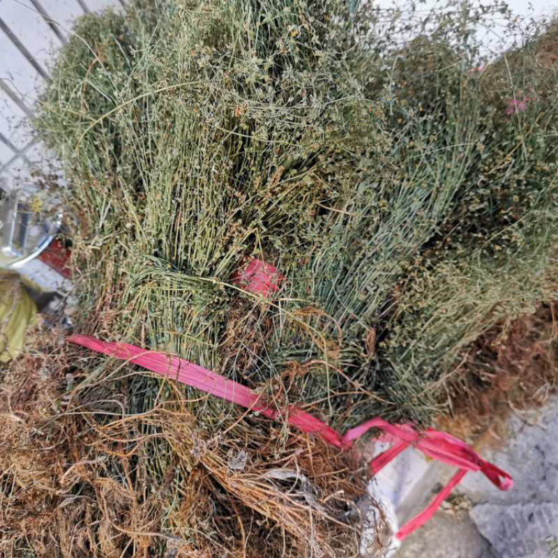 田基黄地耳草野生无硫新货中药材