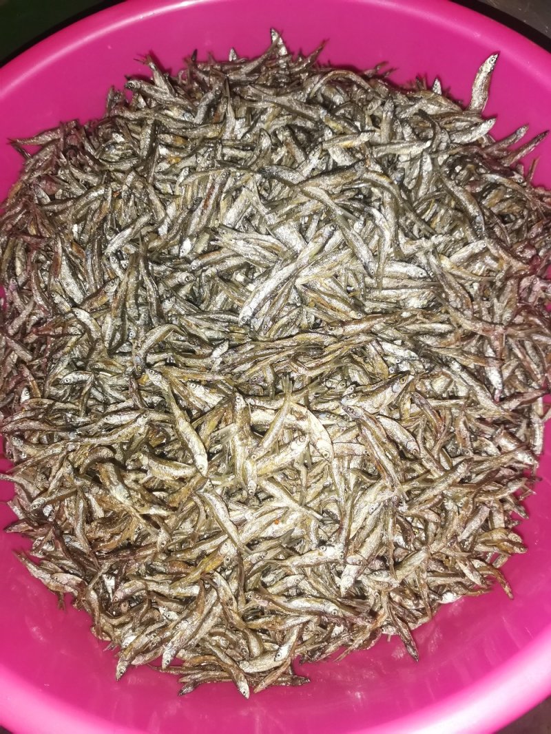 白条鱼蓝刀鱼油炸白条鱼油炸蓝刀鱼