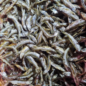 白条鱼蓝刀鱼油炸白条鱼油炸蓝刀鱼