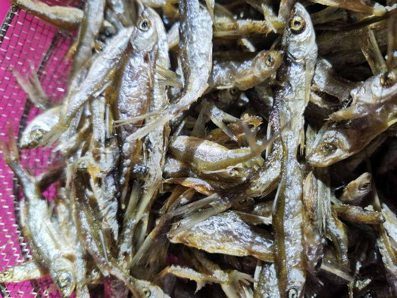 白条鱼蓝刀鱼油炸白条鱼油炸蓝刀鱼