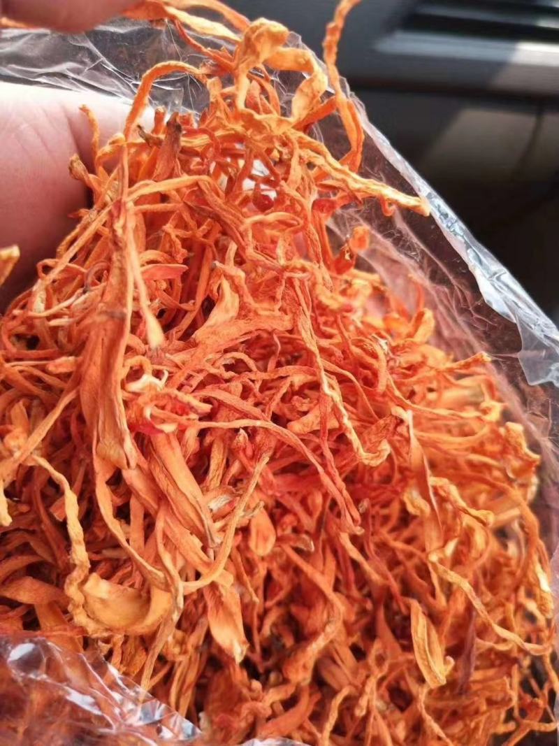 【金虫草一斤装】【李大人村】产地批发东北土特产，虫草花
