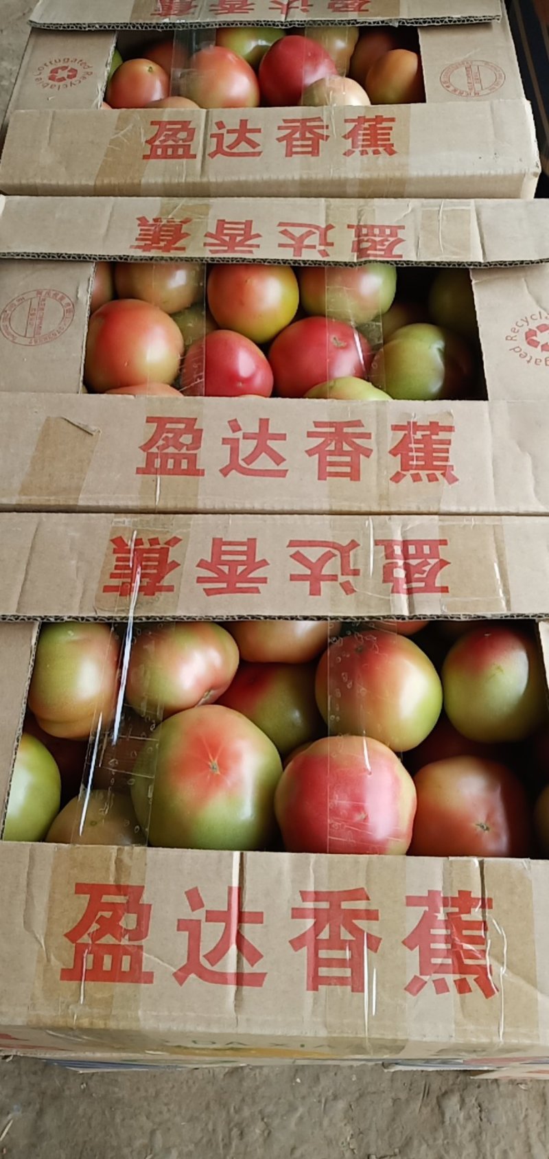 西红柿