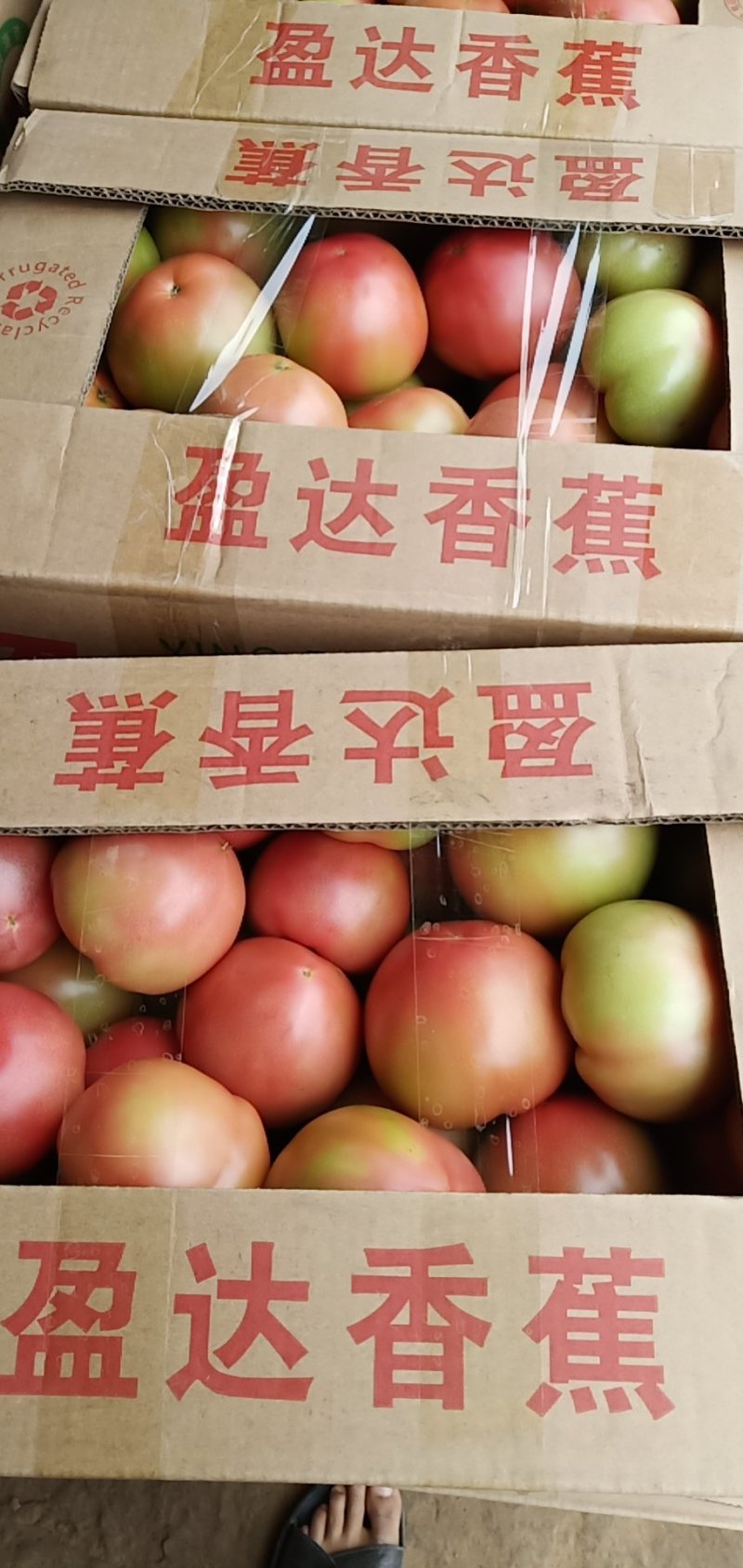 西红柿