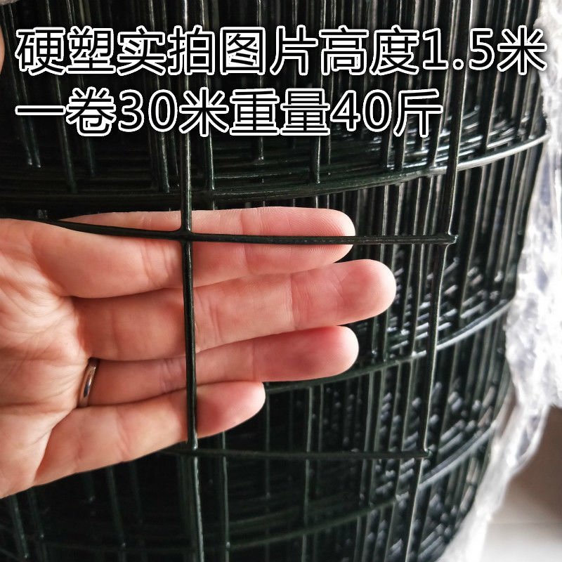 荷兰网