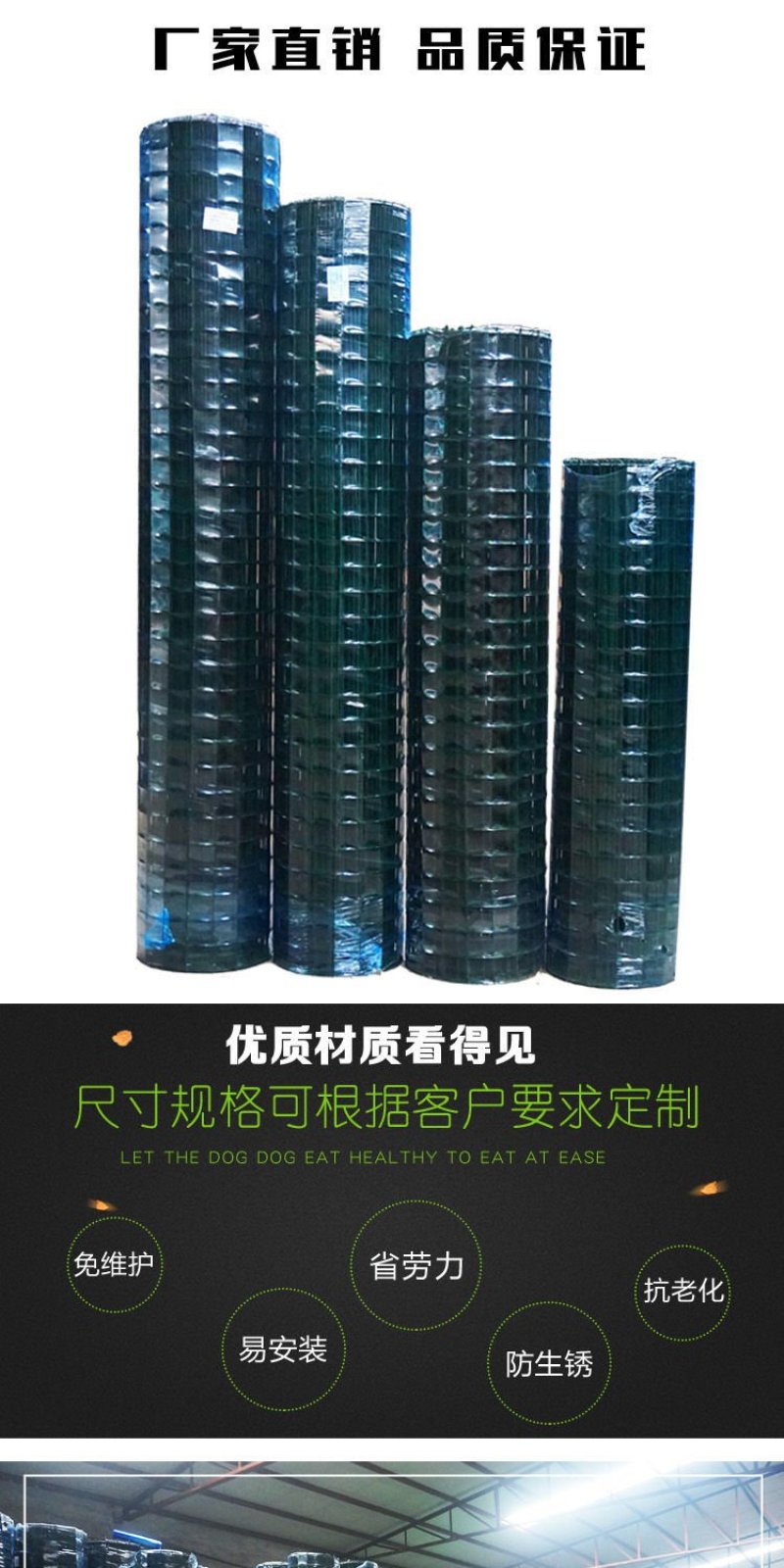 荷兰网