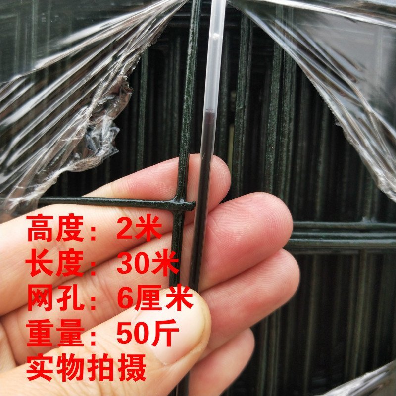 荷兰网