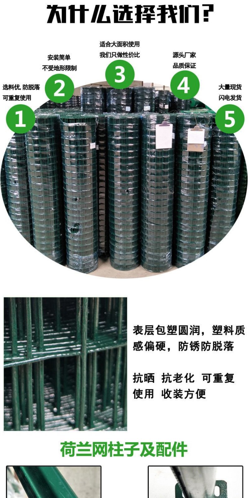 荷兰网