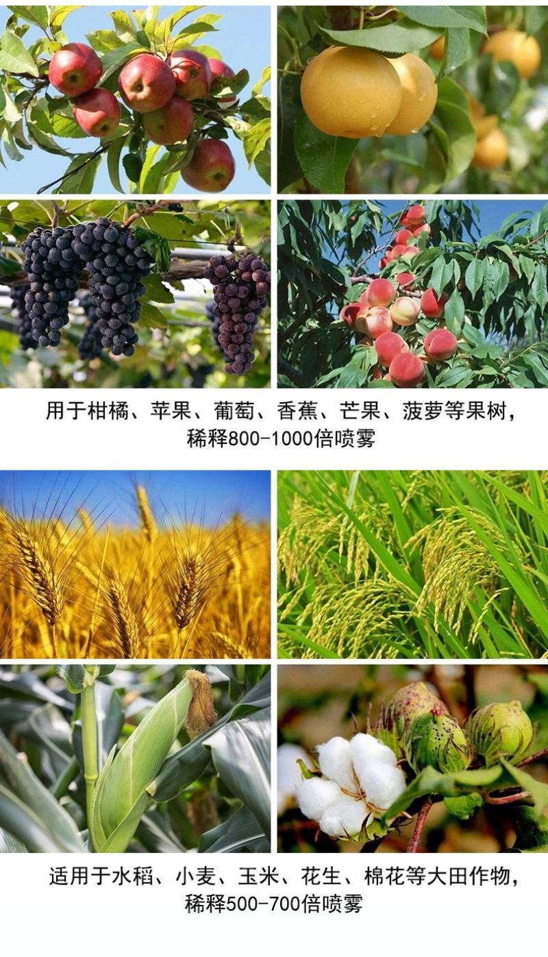 陶氏益农膨果膨大素叶面肥花芽分化柑橘草莓氨基酸水溶肥