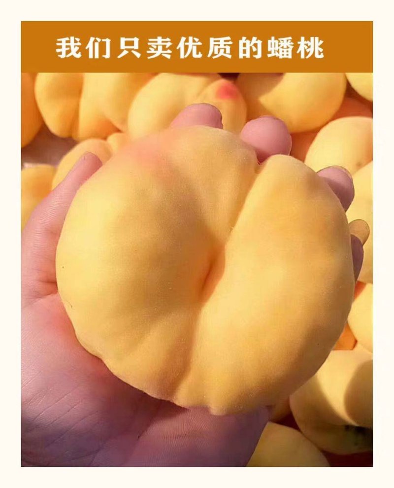 【火爆上市】精品蟠桃蟠五黄金蟠桃大量供应产地直供