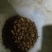 金蝉，知了猴，爬叉，姐了龟大量上市。金蝉