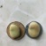 蚕豆，干蚕豆，今年新收的，炒煮炖煨都好吃的。