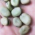 蚕豆，干蚕豆，今年新收的，炒煮炖煨都好吃的。
